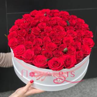 Безграничная симпатия