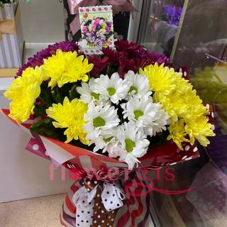 Лучи счастья